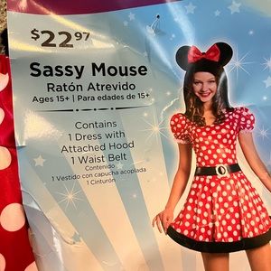 NWT Women’s Minnie Mouse Costume
